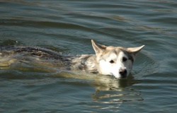 Baden im Hummelsee