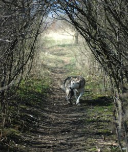 abenteuerliche Höhlenwege