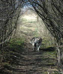 abenteuerliche Hhlenwege