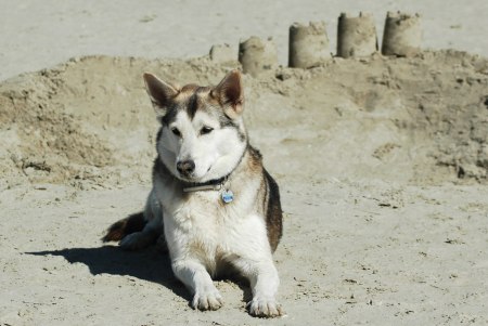 Sheila an der Nordsee