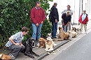 Urlaub in der Hundeschule