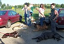 Urlaub in der Hundeschule