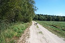 Urlaub in der Hundeschule