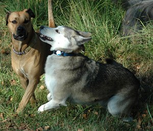 Eddy und Sheila